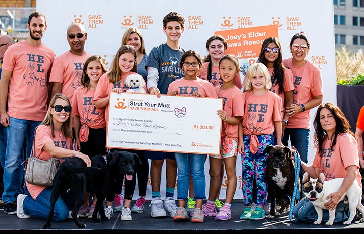 Joey’s Elder Paws won the top fundraiser award during the 2017 Strut Your Mutt in Salt Lake City