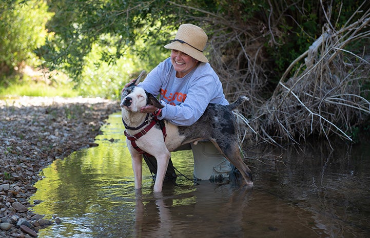Woman petting Frankie the dog while they're in a creek
