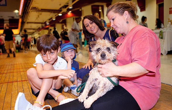 Family sitting on the floor with a small brown terrier dog at the New York Super Adoption event