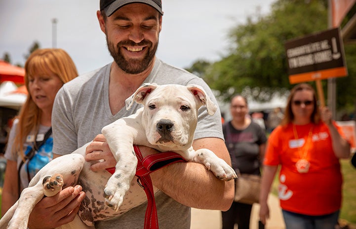 Smiling man holding a white pit bull terrier puppy at the NKLA Super Adoption event