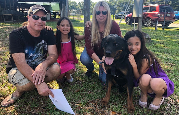 Happy family adopting a rottweiler mix dog