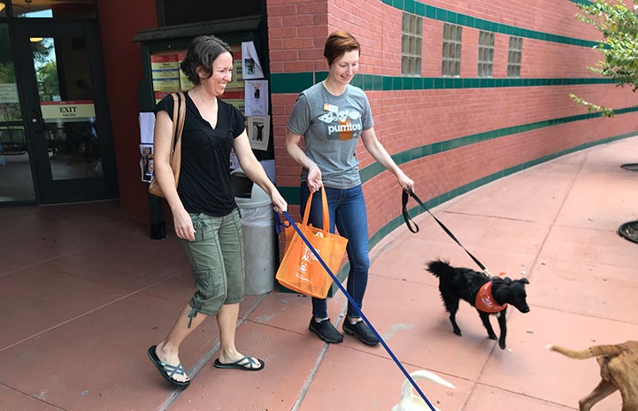 Volunteer Jessica Roper walking a small black dog wearing a bandanna next to another woman walking a dog