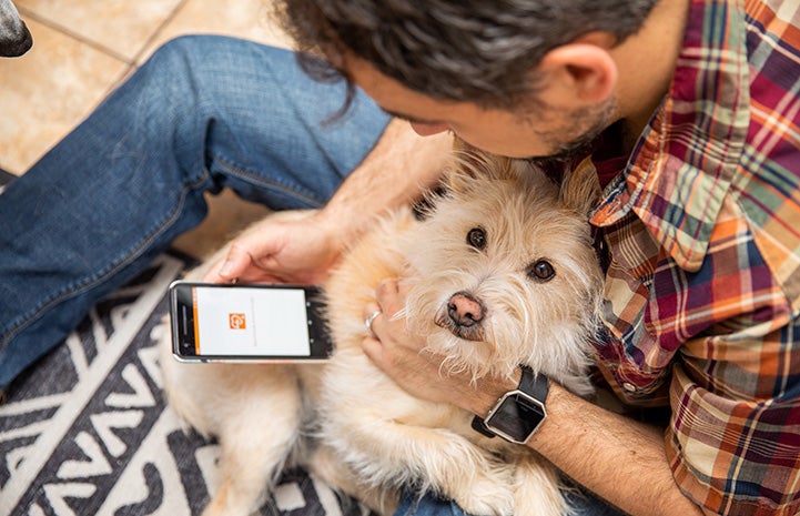 Man holding a fluffy terrier type dog on his lap while looking at his smart phone