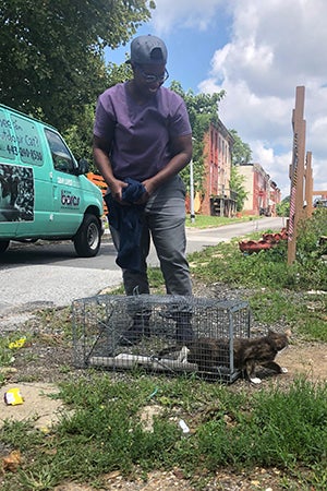 Man from BARCS letting a calico cat go out of a humane trap