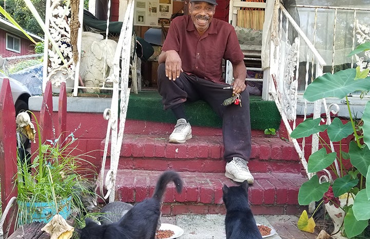 Larry Caulton's community cats do their "love dance"