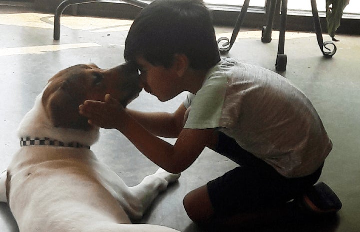 Alice the dog licking the head of a young boy