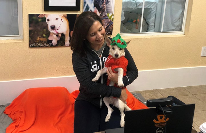 Woman holding Trudy the terrier who is dressed up as an elf