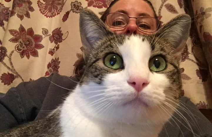 A selfie of Hazel the cat's face in front of her adopter Julie