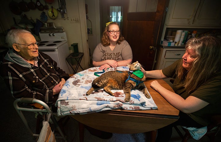Hercules the therapy cat lying on a blanket on a table with three people sitting around him