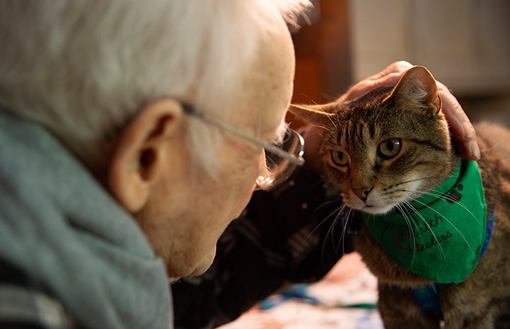 Senior man petting Hercules the therapy cat, who is wearing a green bandanna