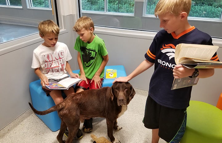 Three young boys reading to Jake the dog at the Jacksonville Humane Society