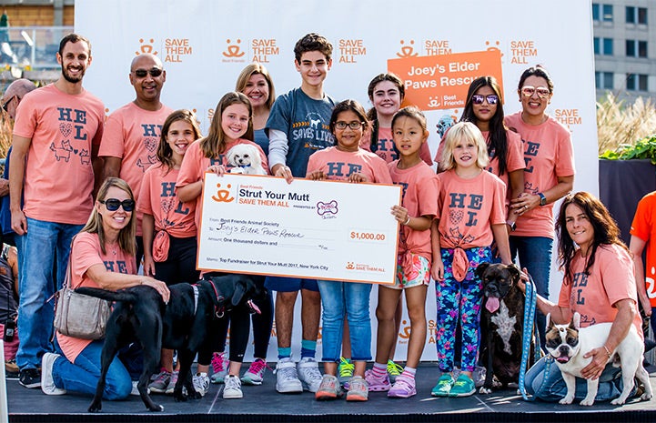 Joey's Elder Paws Rescue receives top fundraising award