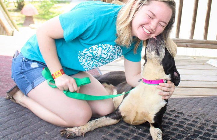 Black and white dog giving a kiss to a smiling woman