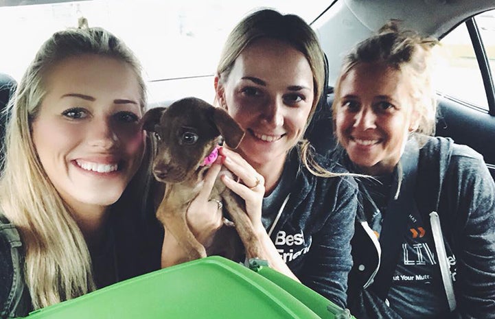 Three women in a car holding Monique the puppy