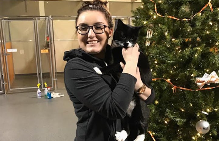 Elvis the cat was his friendly, personable self when he met Victoria and Anthony at the Black Friday adoption promotion