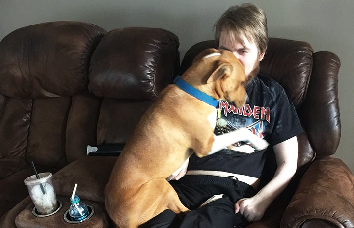 Buddy Boy the dog lying on the lap of a man on a couch wearing an Iron Maiden T-shirt