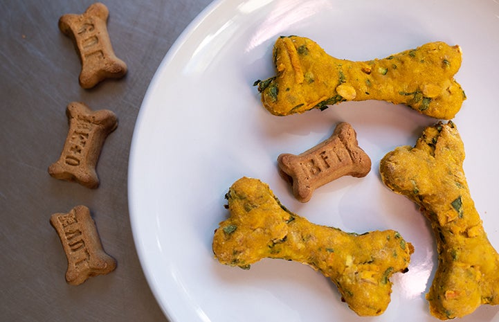 Plate containing Bestie Bars dog treats in the shape of bones