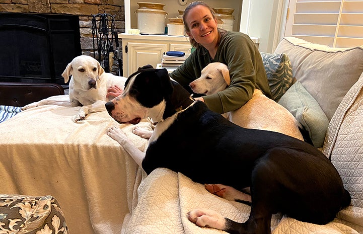 Smiling woman sitting on a couch surrounded by three dogs