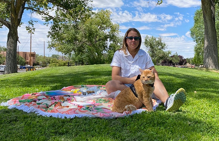 Orange tabby cat in a harness outside on a blanket with a woman
