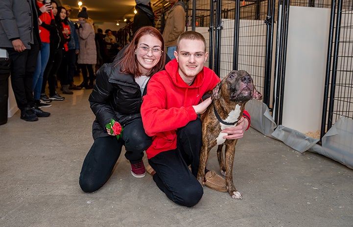 Couple hugging brindle and white dog at New York adoption event