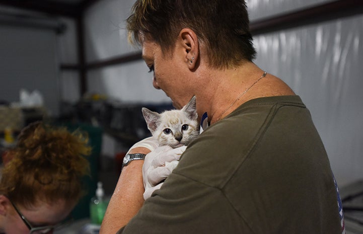 Woman holding a kitten at the at the Rescue and Reunite Center after Hurricane Harvey