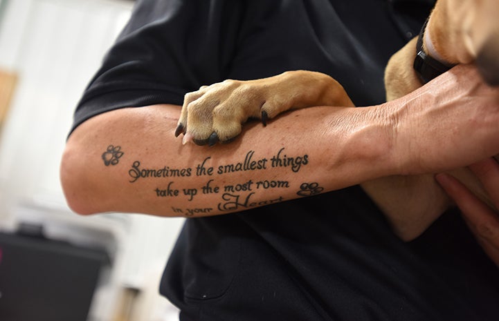 Dog's paw holding a tattooed arm at the at the Rescue and Reunite Center after Hurricane Harvey