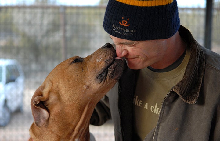 Ethan receiving a kiss from Lucas the Vicktory dog