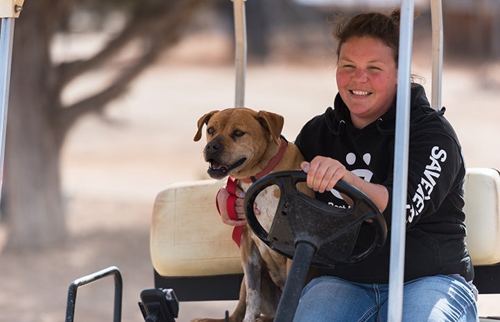 Meryl the Vicktory dog loves golf cart rides, where she’ll snuggle up to her caregivers while they drive her around Dogtown