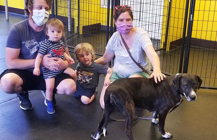 Family adopting a black and white dog from Motley Zoo Animal Rescue