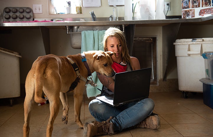 Scooby the dog and a woman looking down at a laptop screen doing a virtual meet-and-greet
