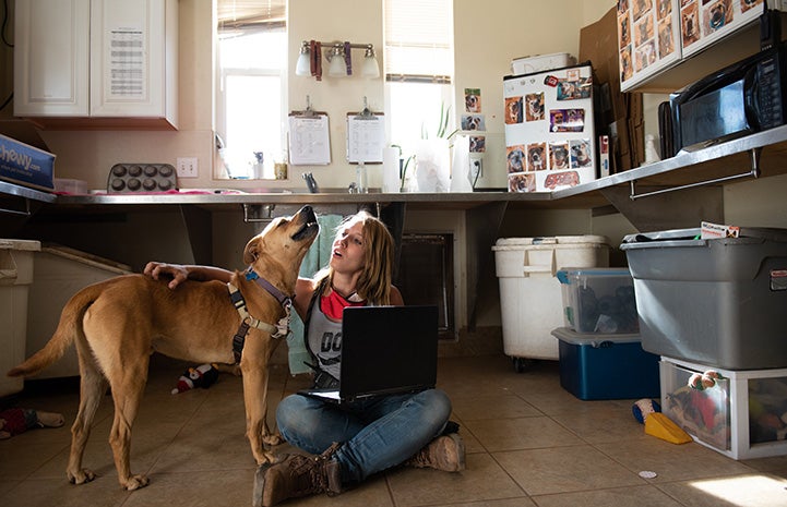 Scooby the dog next to a woman who has her arm around him and a computer in her lap doing a virtual meet-and-greet