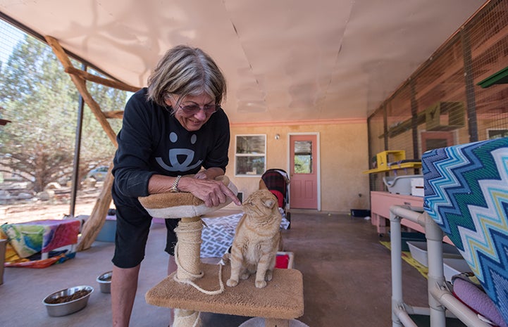 Volunteer Alma Davenport smiling and sticking her finger out for an orange tabby cat to sniff