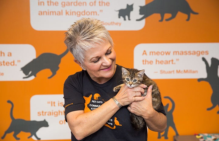 Volunteer Becky Anderson holding a small tabby kitten in front of a wall with cat quotes