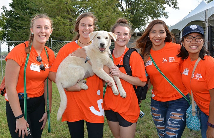 Group of five volunteers wearing orange T-shirts holding a big blond Lab puppy named Mona
