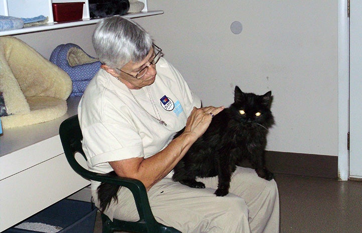 Bobbie Oldfield sitting in a chair and petting a black cat at Best Friends Animal Sanctuary