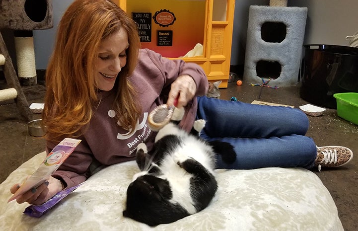 Volunteer Connie Murphy lying on the floor playing with a black and white cat