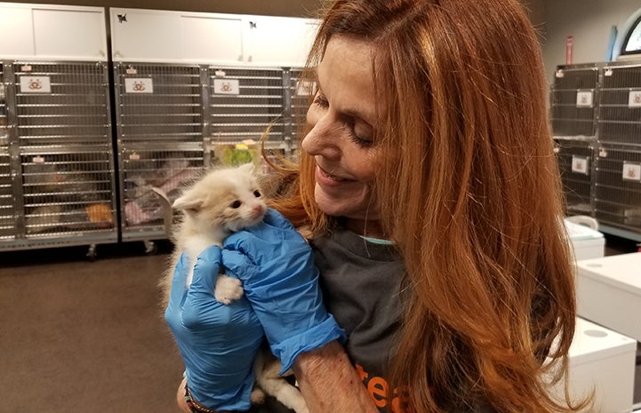 Volunteer Connie Murphy wearing rubber gloves and holding a tiny kitten, with kennels behind her