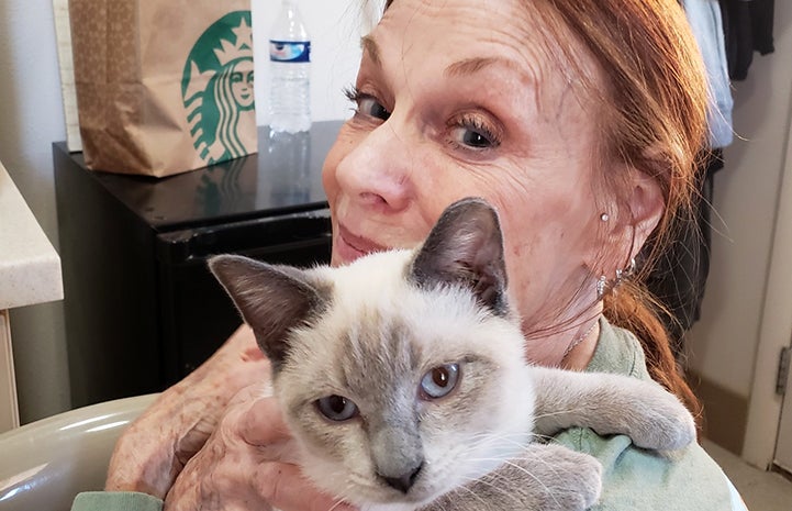 Connie Murphy holding Siamese cat, Nicodemus