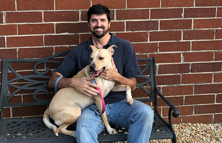 Volunteer Daniel Pruitt sitting on a bench with a light colored pit bull terrier on his lap