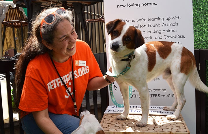 Volunteer Deyra Galvan smiling and petting a dog up on a small table