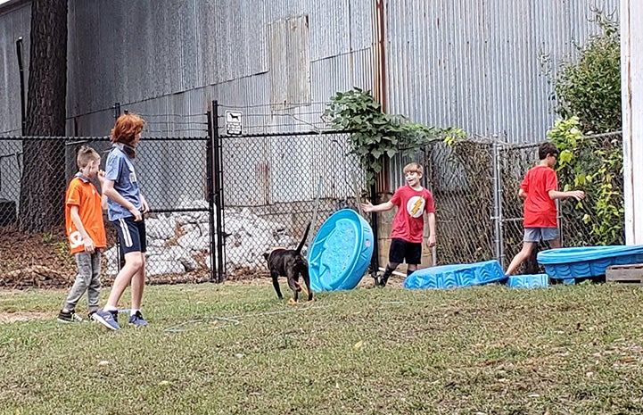 Jack Hallock and his birthday party guests in the play yard with a dog and some blue kiddie pools