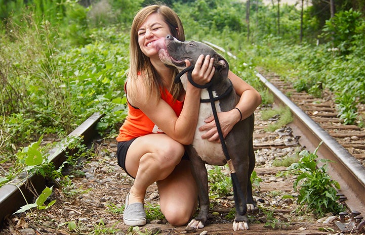 Jamie Serratell the volunteer getting kissed on the face by a gray and white pit bull type dog