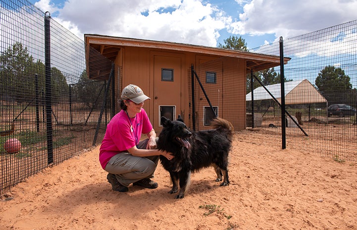 Volunteer Janice MacMillan in a kennel petting Donner the dog