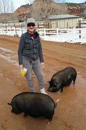 Volunteer Judy Steiger at Piggy Paradise