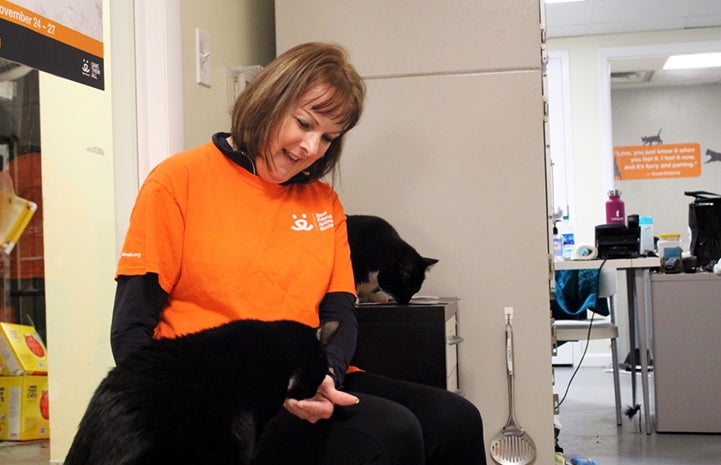 Volunteer Kathy Moran does adoption counseling for the cats as well as fostering