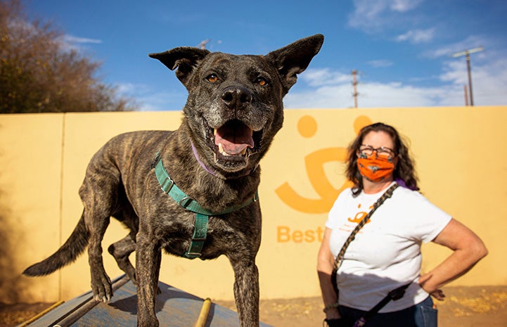 Volunteer Kristin Biggs doing some outdoor agility training with Larry the dog