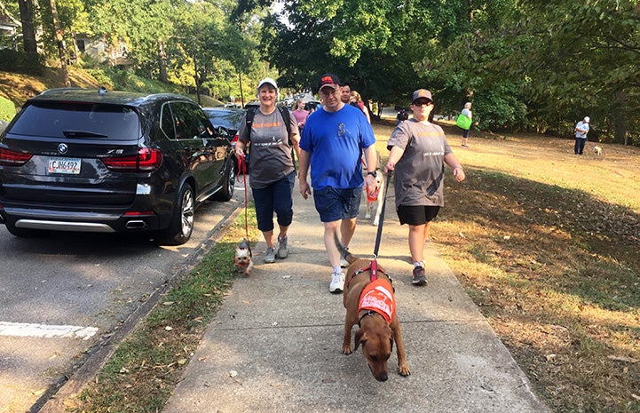 The Lawson family walking a brown dog wearing an orange bandanna