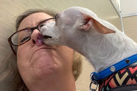 Lillie Schlessinger getting a kiss on the face from a small white dog