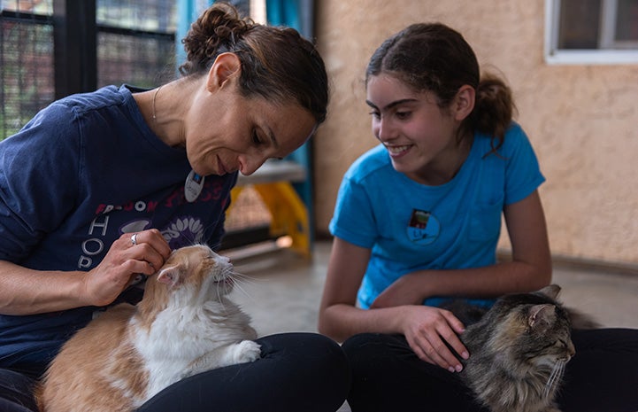 Lily and Jenny Grouf volunteering at Quincy House in Cat World sitting down on the ground with cats on their laps