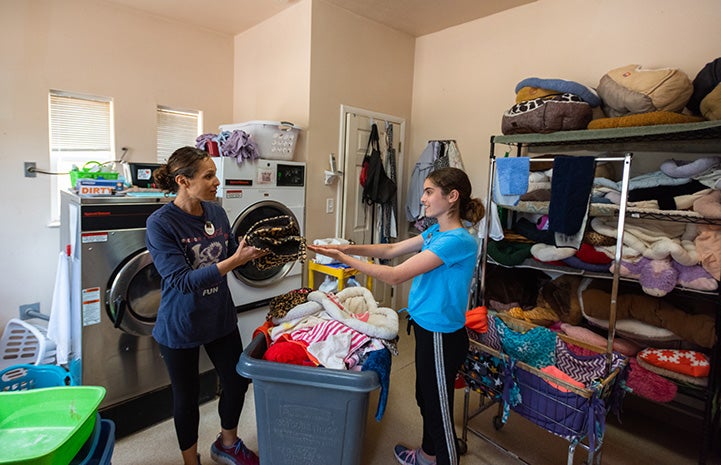 Lily and Jenny Grouf volunteering at Quincy House in Cat World doing laundry